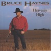 Heavenly High, 1993