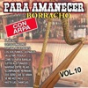 Para Amanecer Borracho Con Arpa, Vol. 10