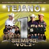 Tejano #1's Siempre