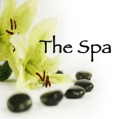 The Spa – Amazing Relax Music for Spa Treatments in Wellness Center & Spa Retreats artwork
