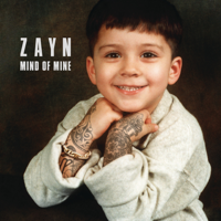 ZAYN - Mind of Mine (Deluxe Edition) artwork