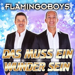 Flamingoboys - Das muss ein Wunder sein