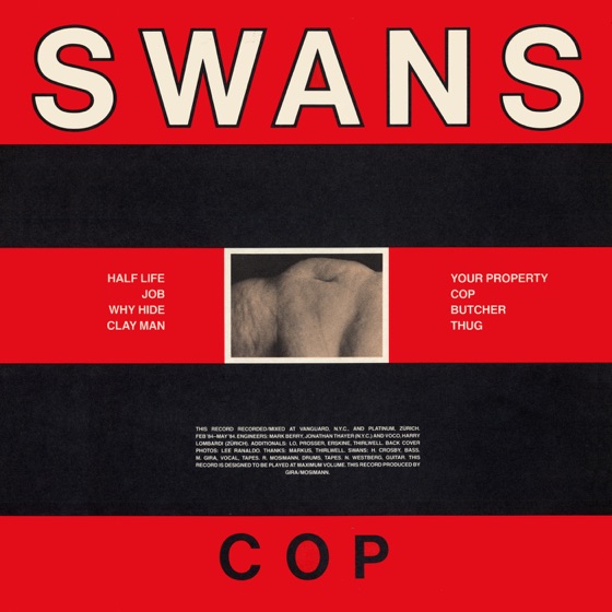 Cover artwork for Raping a Slave