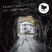 Det Andre Rommet (feat. Erlend Apneseth, Stephan Meidell & Øyvind Hegg-Lunde) artwork