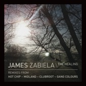 The Healing (Hot Chip Remix) artwork