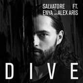 Dive (feat. Enya & Alex Aris) artwork