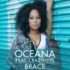 Brace (feat. Crazyhype) - Single album lyrics, reviews, download