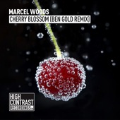 Cherry Blossom (Ben Gold Remix) artwork