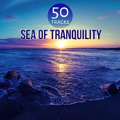 Sea of Tranquility - Music for Deep Sleep Meditation, Healing Sounds for Trouble Sleeping artwork