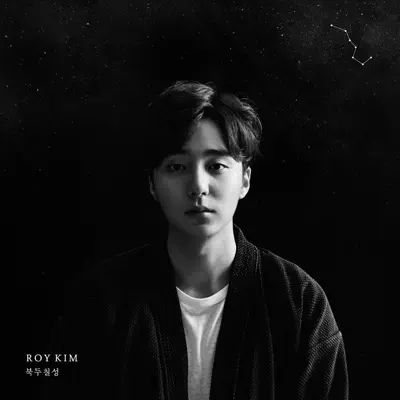 The Great Dipper - Roy Kim