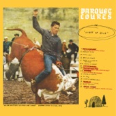 Parquet Courts - Donuts Only