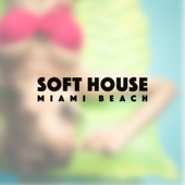 Soft House Miami Beach - Various Artists