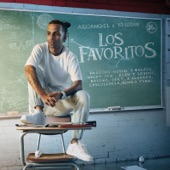 Los Favoritos (feat. Farruko, Ñengo Flow, Ñejo, Alexio, Pusho & Genio) artwork