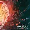 Vox Vocis