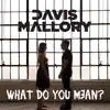 What Do You Mean? - Single album lyrics, reviews, download