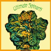 Ultimate Spinach - Plastic Raincoats/Hung up Minds