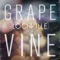 Grapevine (Radio Edit) - Locnville lyrics