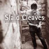 Slaid Cleaves - Horses And Divorces