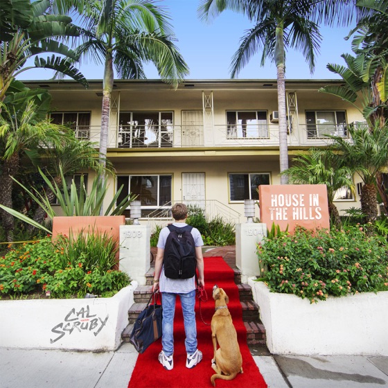 Cover artwork for Pause