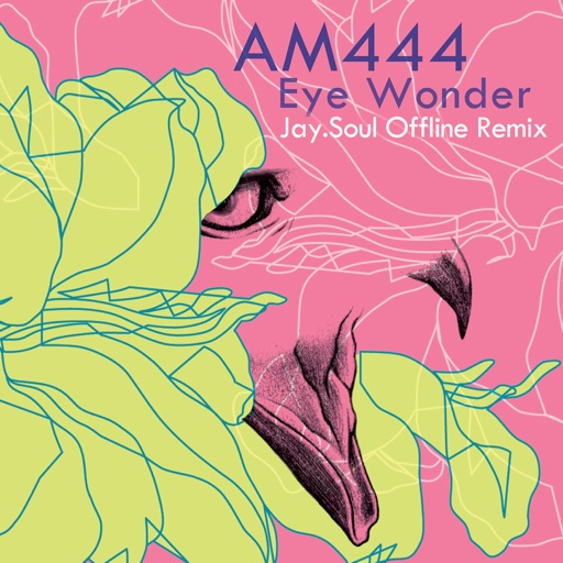 cover artwork AM444 Eye Wonder Jay.Soul Offline Remix