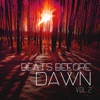 Beats Before Dawn, Vol. 2