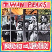 Twin Peaks - Butterfly