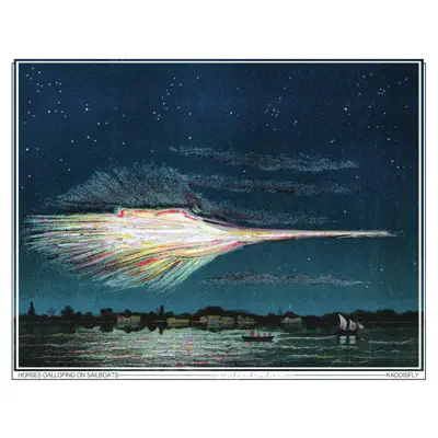 Horses Galloping on Sailboats - Kaddisfly Horses Galloping on Sailboats - Kaddisfly