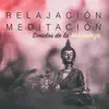 Stream & download Relajación y Meditación: Sonidos de la Naturaleza & Dulces Sueños con Música Relajante para Sanar el Alma