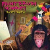 Paintbrush Monkey