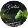 Yadah - Momentos Inolvidables