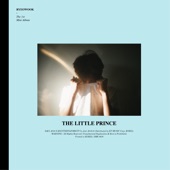 The Little Prince artwork