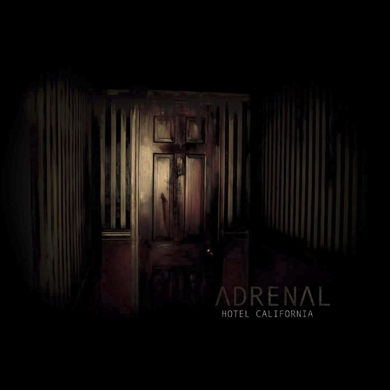 Radio Music Intermission - Adrenal | Shazam