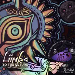 To the Future - Liink