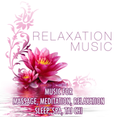 Relaxation Music: Music for Massage, Meditation, Relaxation, Sleep, Spa, Tai Chi and Soothing Lullabies to Help You Relax, Meditate and Heal with Nature Sounds, Hang Drum and Natural White Noise - Shakuhachi Sakano & Nature Sounds