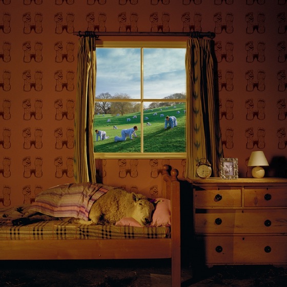 Cover artwork for Memories of Home