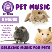 Pet Music: Inc. Music for Rabbits, Hamsters, Gerbils, Horses and Many More! (5 Hours) artwork