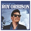 There Is Only One Roy Orbison (Remastered), 1965