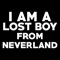 I Am a Lost Boy from Neverland - Dj Rajni lyrics
