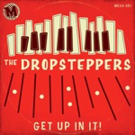 The Dropsteppers - Hot Mess