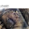Acceptance - Phaeleh lyrics