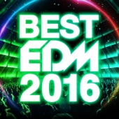 BEST EDM 2016 artwork