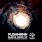 Black Bass (Energun Remix) - PUSHMANN lyrics