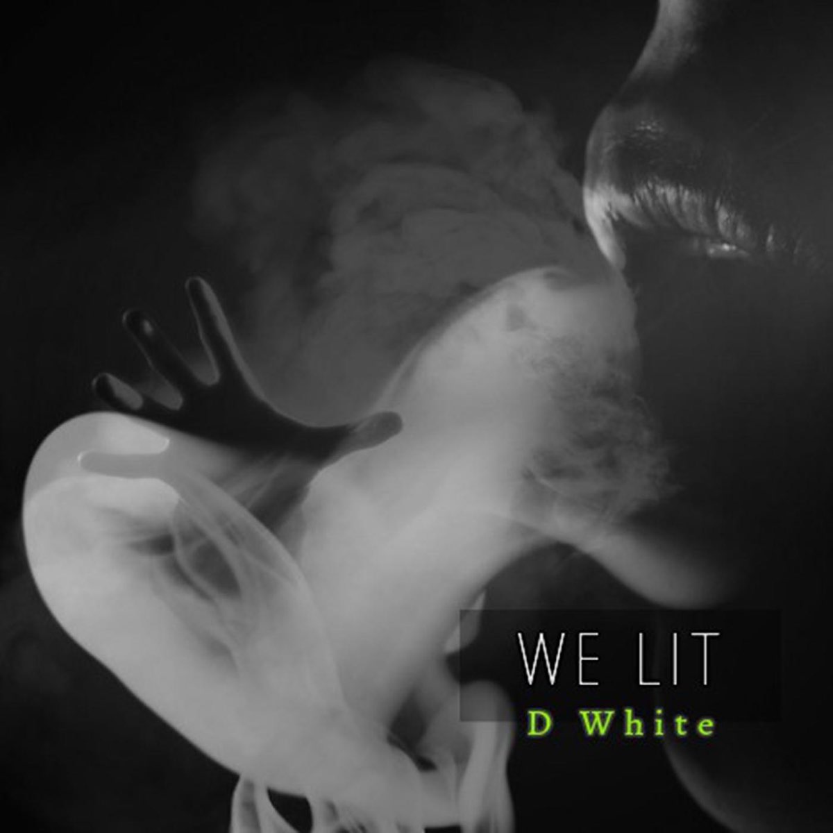 We lit перевод. D. White новый альбом. Д Уайт слушать. The White album шрамы. We Lit.