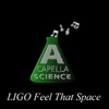 Ligo Feel That Space - Single