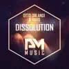 Dissolution (feat. Nathan Brumley) - Single album lyrics, reviews, download