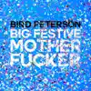 Big Festive M**********r - Single album lyrics, reviews, download