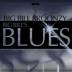 Big Bill's Blues - Big Bill Broonzy