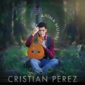 Cristian Perez - The Persistent Elephant