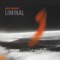 Liminal Rays (feat. David Darling) - Silvia Nakkach lyrics