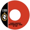 Cameo Parkway Instrumental Gems of 1965 - EP